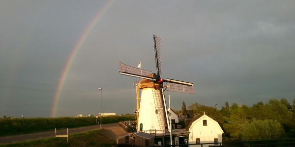Regenboog